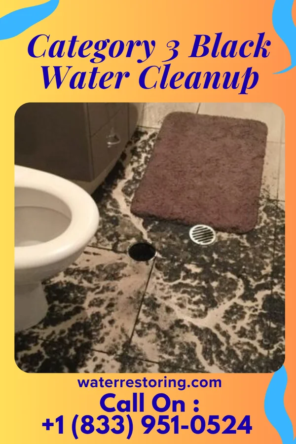 Category 3 Black Water Cleanup in Viola, WI